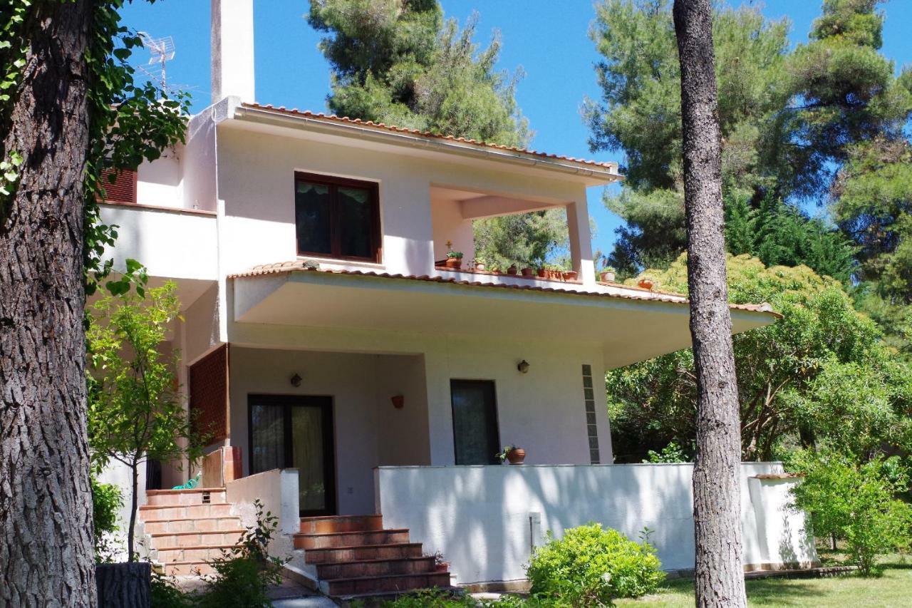 Beautiful Summerhouse In Sani'S Pine Forest Sani  Exterior foto