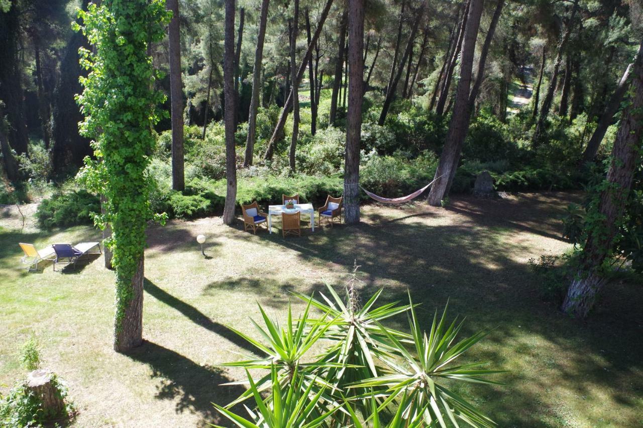 Beautiful Summerhouse In Sani'S Pine Forest Sani  Exterior foto